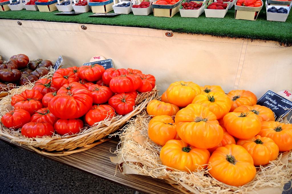 SAFLAX Garden in the Bag - Органический - Помидор - Rouge de Marmande - 10 семян - С субстратом в подходящем пакете - Solanum lycopersicum