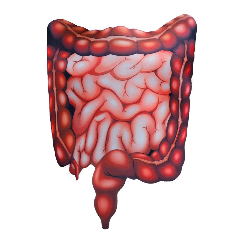 Human Organ Costume Sponge Suit Jumpsuit Brain Liver Uterus Heart Cosplay Emotional Organ Theme Party Attire Halloween Costume