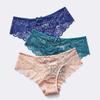 Women's Plus Size Seamless Lace Panties - Sexy, Transparent with Cotton Crotch