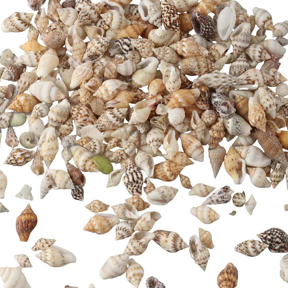 1500 шт. спиральных ракушек, морские ракушки, 1500 шт. подвесок-шармов из смешанных ракушек, пляжная тематическая вечеринка