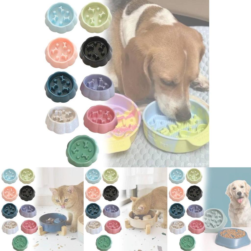 Pet Care Slow Eating Bowl For Small Dogs And Cats With Durable Pp Material