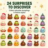 Christmas Squishy Advent Calendar 2026, 24 Days Fidget Countdown Calendar Surprises Sensory Fidget Christmas Party Favors Gift