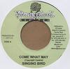 7-дюймовая пластинка SINGING BIRD / GHOST - Come What May / Honey NONE Young Blood Rec Ямайка Регги, Ска и Даб Б/У