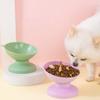 Supplies Removable Anti Overturning Cat Food Bowl Dog Feeder Bowl Kitten Food Plate Cat Water Bowl