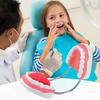 6X Enlarged Dental Teaching Model with Tongue Removable Teeth for Brushing Practice PVC Oral Demo Tool for Kids Students