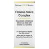 Choline Silica Complex, Bioavailable Collagen Support for Hair, Skin and Nails, 2 Fl Oz (60 Ml)