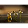 Nikon Single Focus Macro Lens NIKKOR Z MC 105 mm f/2.8 VR S Z Mount Full Size Compatible S Line N...
