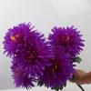 Silk Chrysanthemum Bouquet 7Head Fake Flowers High Quality Simulation Flowers  Cemetery