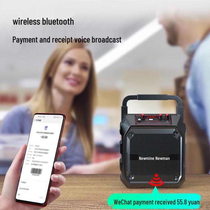 Newmine K97 Portable Bluetooth Speaker with Radio and Payment Announcer