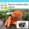 Подарочный набор - Органический - Морковь - Король Осени - 1000 семян - С подарочной коробкой, карточкой, этикеткой и субстратом для горшков - Daucus carota