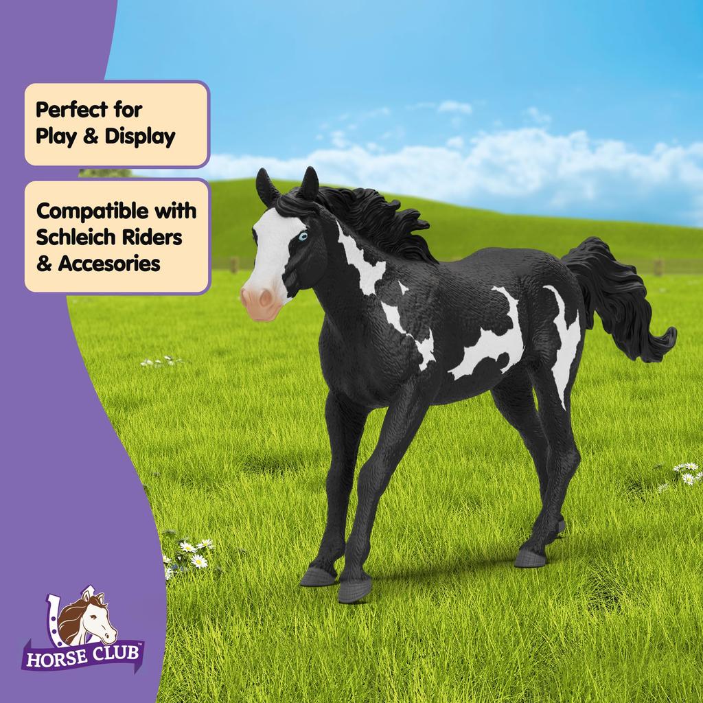 Schleich Horse Club Пинто 14900 (мужчина)