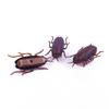 Funny Simulation of Cockroaches Pet Cat Dog Kitten Interactive Training Play Toy