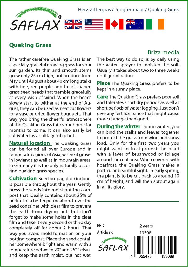 SAFLAX Трава трясущаяся - 75 семян - Бриза медиа