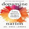 Dopamine Nation Мягкая обложка Автор: Анна Лембке