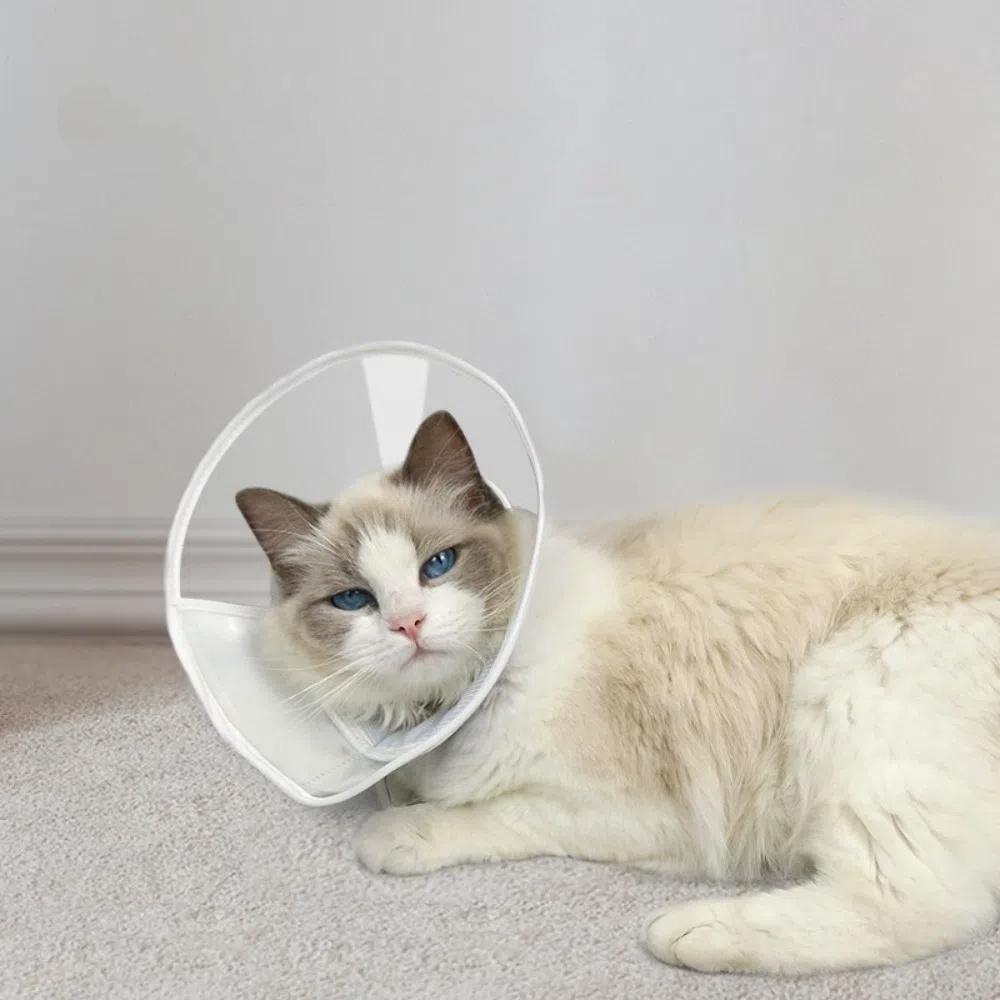 Soft Pet Protective Collar Clear Cat Elizabethan Ring Reusable Cat Recovery Cone Collar  for Neck