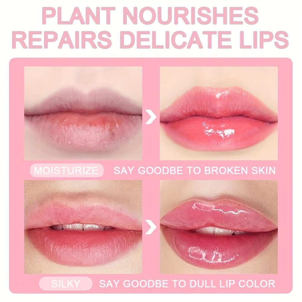 Lip Plumping Ampoule Small Lip Oil Moisturizing Waterproof Hydrating Velvet Moisturizing Transparent Lip Gloss Lip Oil Makeup