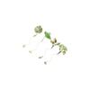 Brass Lotus Leaf Vein Metal Bookmark Metal Green Leaf Bookmark Chinese Style Bookmark  Stationery