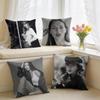 Model KKate MMoss Cushion Cover Square Short Plush Pillow Case Living Room Sofa Home Decor Funda X