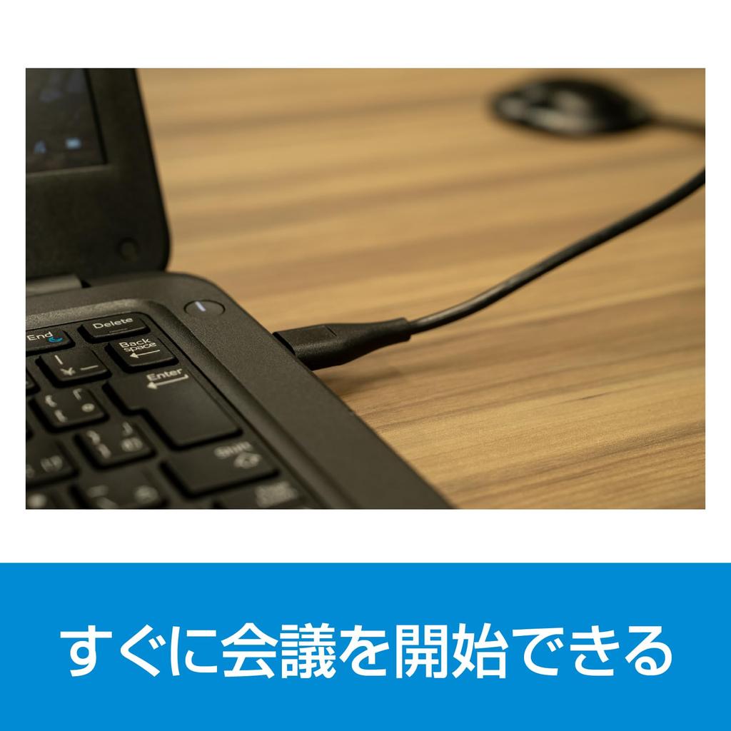 SourceNext PC microphone USB microphone for web conferences KGC2-MC