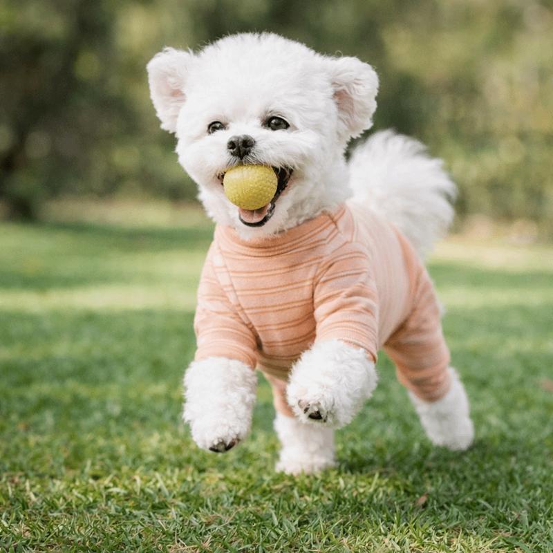 Dog Belly Protective Apparel Soft Dog Striped Jumpsuit Four-legged Warm Dog Pajamas Comfortable Dog Recovery Suit Daily Wear