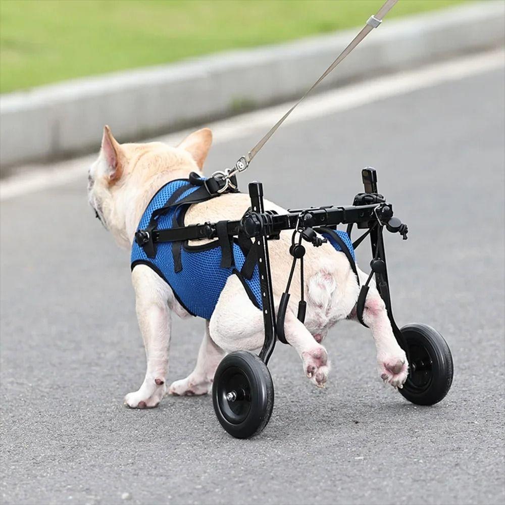 Durable Pet Walk Booster Adjustable Pet Hind Legs Bracket Cat Recovery Aid Car  Disability Dog