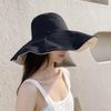 Летняя женская панама с большими полями и широкими полями, уличная Панама с защитой от ультрафиолета, рыбацкая кепка для женщин, пляжный тур, форда...