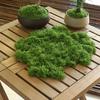 About 20g Artificial Green Plants Polyester Moss Grass Home Living Room Garden Decoration Mini Landscape Fake Flower DIY Crafts