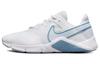 Nike Legend Essential 2 'White Aura' Женские CQ9545-101