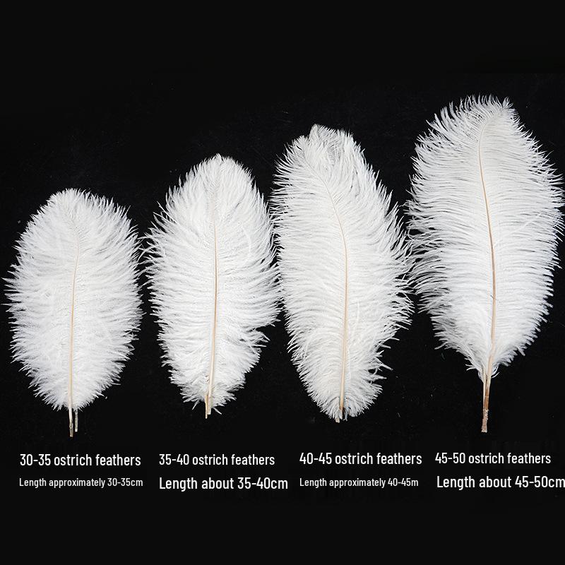 White Feathers for DIY Handmade Clothing & Jewelry Accessories