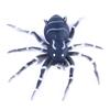 Мягкая приманка Luya Spider 8CM-7G Бионическая искусственная приманка Luya Lure