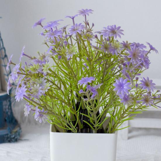 Красивые растения в горшках, не требующие полива, создают романтическую атмосферу