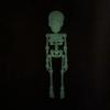 Poseable Skeleton Fridge Magnet 3D Printed Articulated Full Body Skeleton with Movable Joints Halloween Mini Skull Fridge Magnets for Home Decor