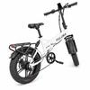 PULUMA FM2.0 Folding Electric Bike 48V15AH Removable Lithium Battery 20x4.0 Fat All Terrain Tire 7 Speed Hydraulic Brake 250W Adult Ebike
