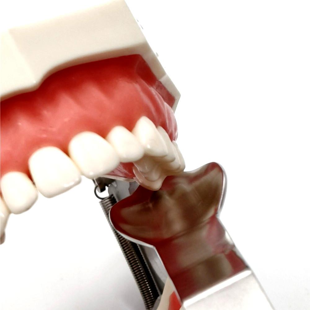 Стоматологические хирургические ретракторы Laster 3rd Morlar Retractor, инструменты для стоматологических хирургических имплантатов, инструменты для зубной имплантации, нержавеющая сталь