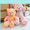 Colorful Teddy Bear Plush Toy Soft Pp Cotton Stuffed Animal Perfect Valentine's Gift