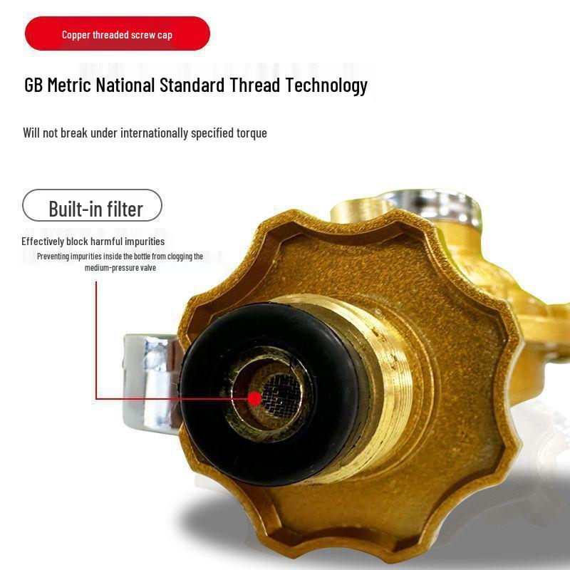 Explosion-Proof Gas Cylinder Pressure-Reducing Valve for Water Heaters