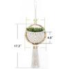 Macrame Wall Hanging Nordic Ins Door Wall Decoration Home Background Round Wall Tapestry Woven Flower Pot Dorm Room Decor Kanye