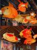 Luminous Fish-Shaped Waterproof Lanterns for Restaurants with Colored Flower Chandelier Lights