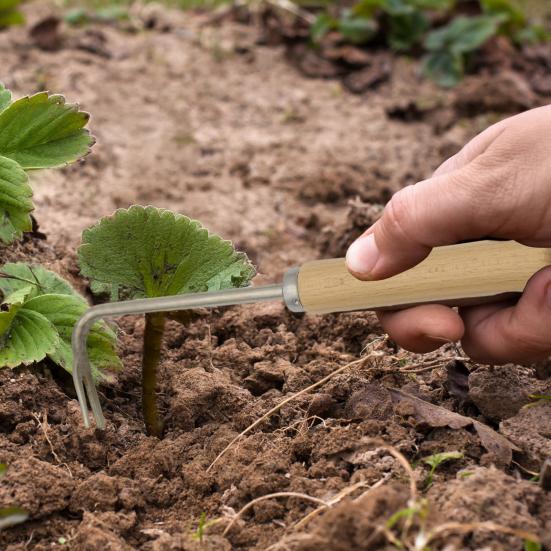 Yousheng Ручной удалитель сорняков Вилка из нержавеющей стали Ручной пропольщик Удалитель сорняков с деревянной ручкой Садовый инструмент для прополки для удаления мха и сорняков