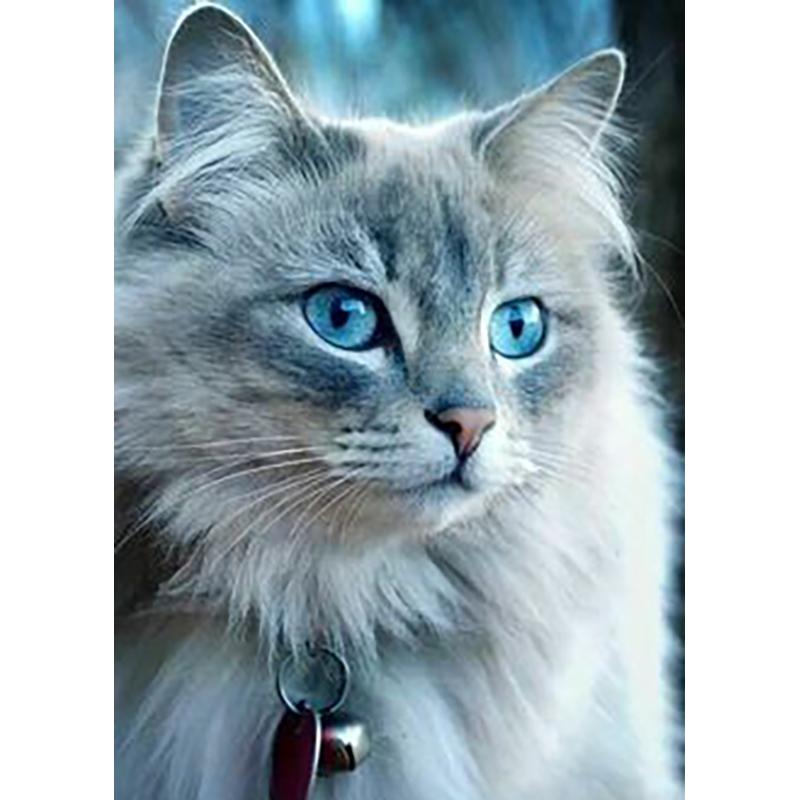 DIY 5D алмазная живопись животные вышивка кошка наборы крестиков полная круглая дрель мозаика со стразами настенная живопись подарок домашний декор