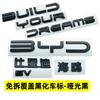 Для BYD Dolphin Surf Dolphin Mini Atto 1 Автомобиля Черная Наклейка На Передний Значок Без Сверления Черный Задний Значок Черный Воин Модификация Автомобиля