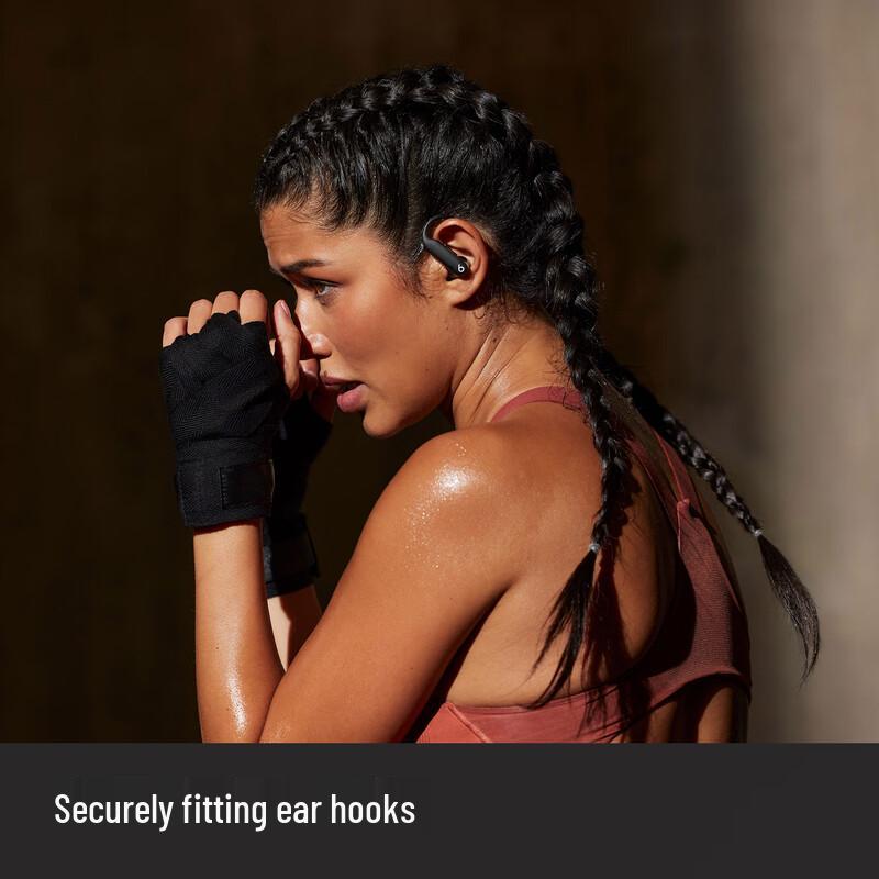 Beats Powerbeats Pro 2 True Wireless Sport Earbuds