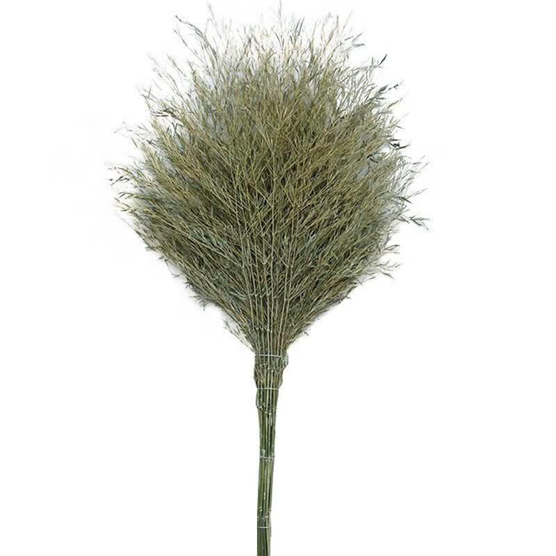 Keliweiyin Bamboo Broom