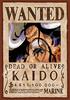 Ensky 208-Piece Jigsaw Puzzle, One Piece, Wanted Poster "Kaido" 208-074