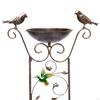 Комбинация купальни для птиц и решетки для растений для элегантности открытого сада