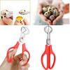 Quail Egg Scissors Opener Cutter Stainless Steel Tool