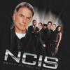 NCIS Unisex Adult Investigators T-Shirt