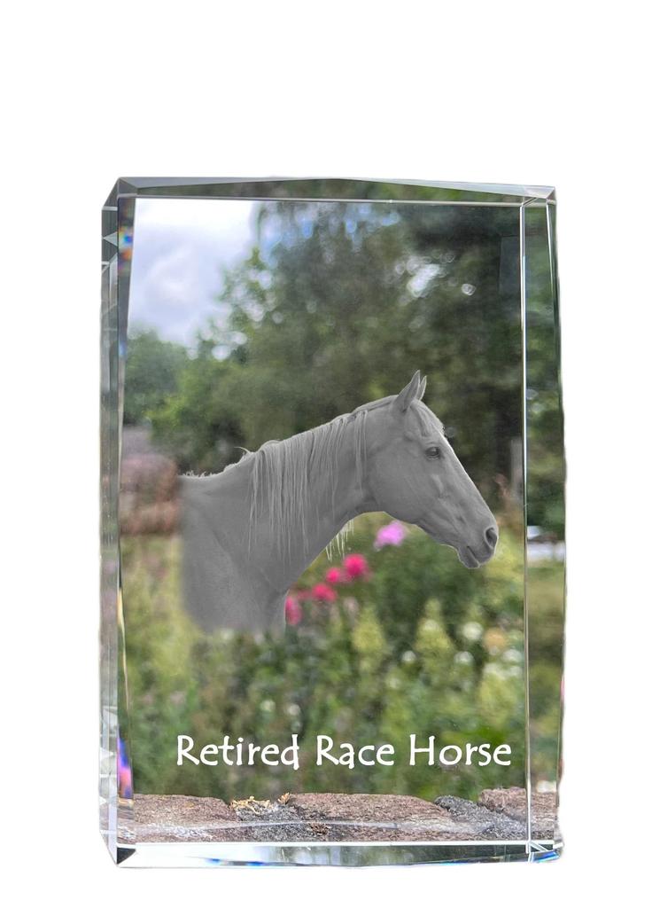 Retired Race Horse – Crystal with a picture of a horse, photo in glass | Art-Dog