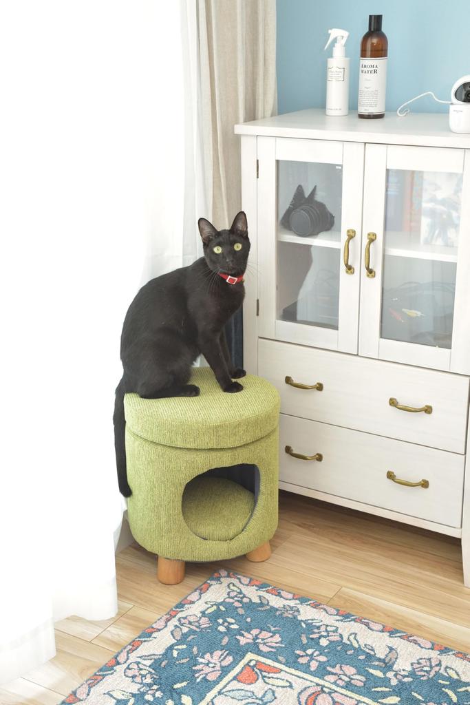 Azumaya Pet Stool PET-61GR
