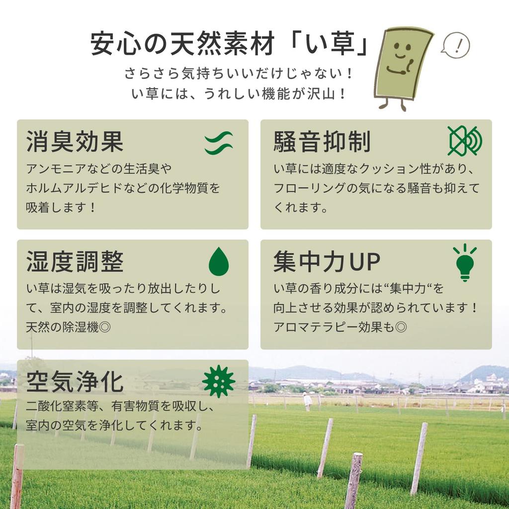 Hagiwara Buddhist Altar Cushion, Natural, Approx. 70cm W x 70cm D, Made with Japanese-Made Igusa Grass, Reversible, Includes Storage Bag [Phoenix